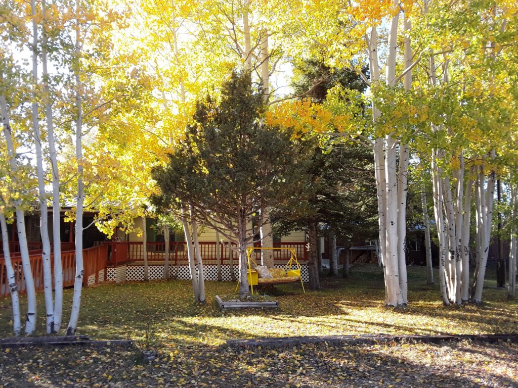 Vibrant fall foliage surrounds a cozy cabin with a deck and swing, set against a backdrop of aspen trees. Captures the essence of autumn tranquility.