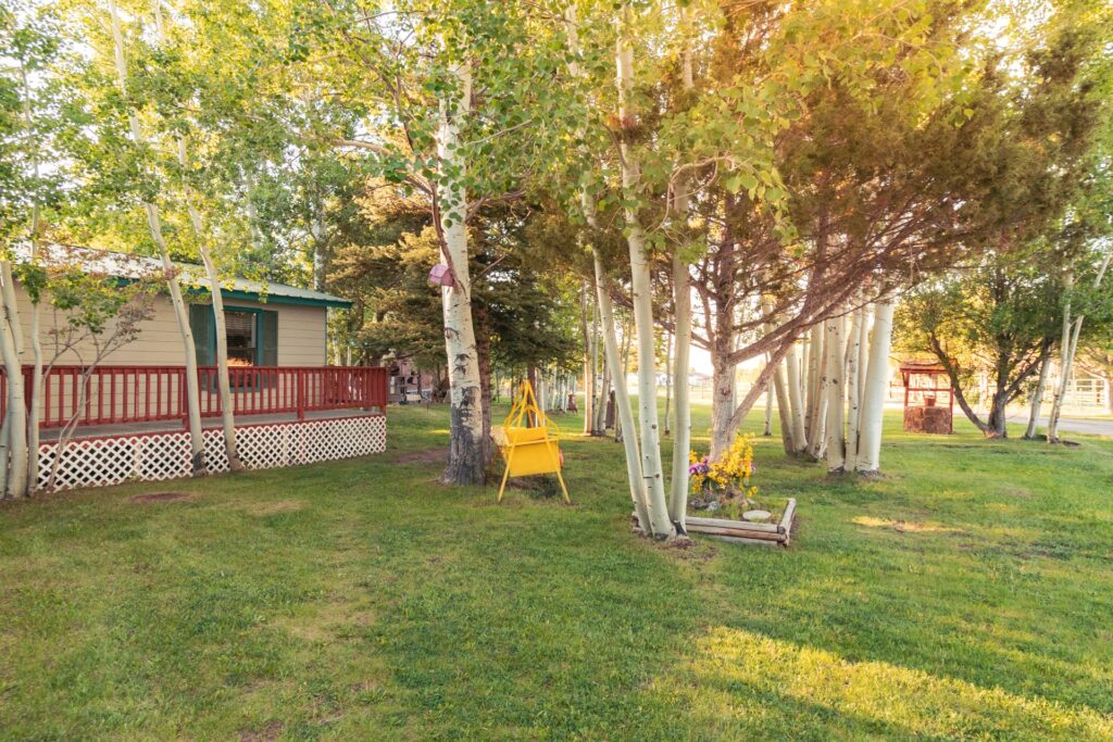 Serene backyard scene featuring a cozy house with a red railing, surrounded by lush trees and a yellow swing, ideal for relaxation.