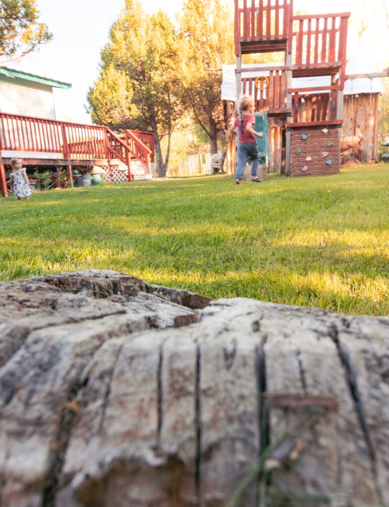 Children play in a grassy yard, with a wooden play structure in the background. A rustic log in the foreground adds depth to the scene.