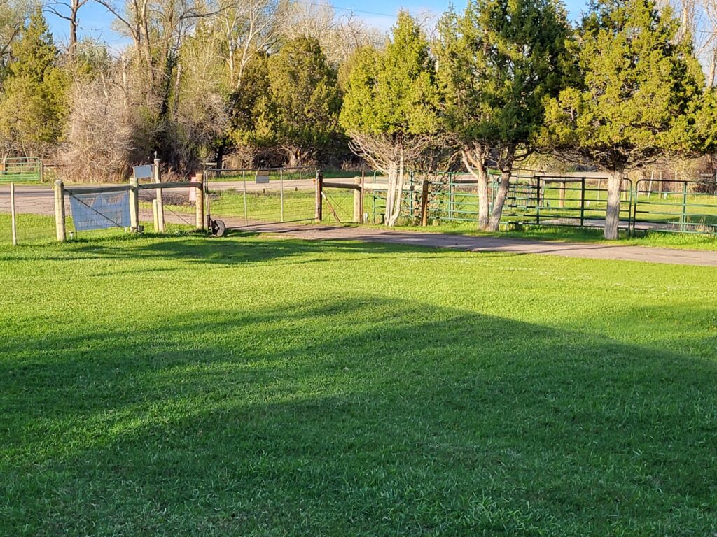 A rural scene featuring a green grassy area with a wooden gate leading to a tree-lined path and fields in the background, suggesting a peaceful outdoor setting.
