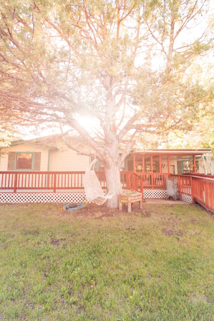 A sunlit backyard featuring a large tree, a hanging chair, and a small wooden planter, adjacent to a home with a red deck.