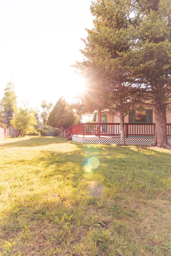 Sunlight filters through evergreen trees onto a grassy lawn, highlighting a cozy house with a wooden deck. The scene conveys a peaceful, inviting atmosphere.