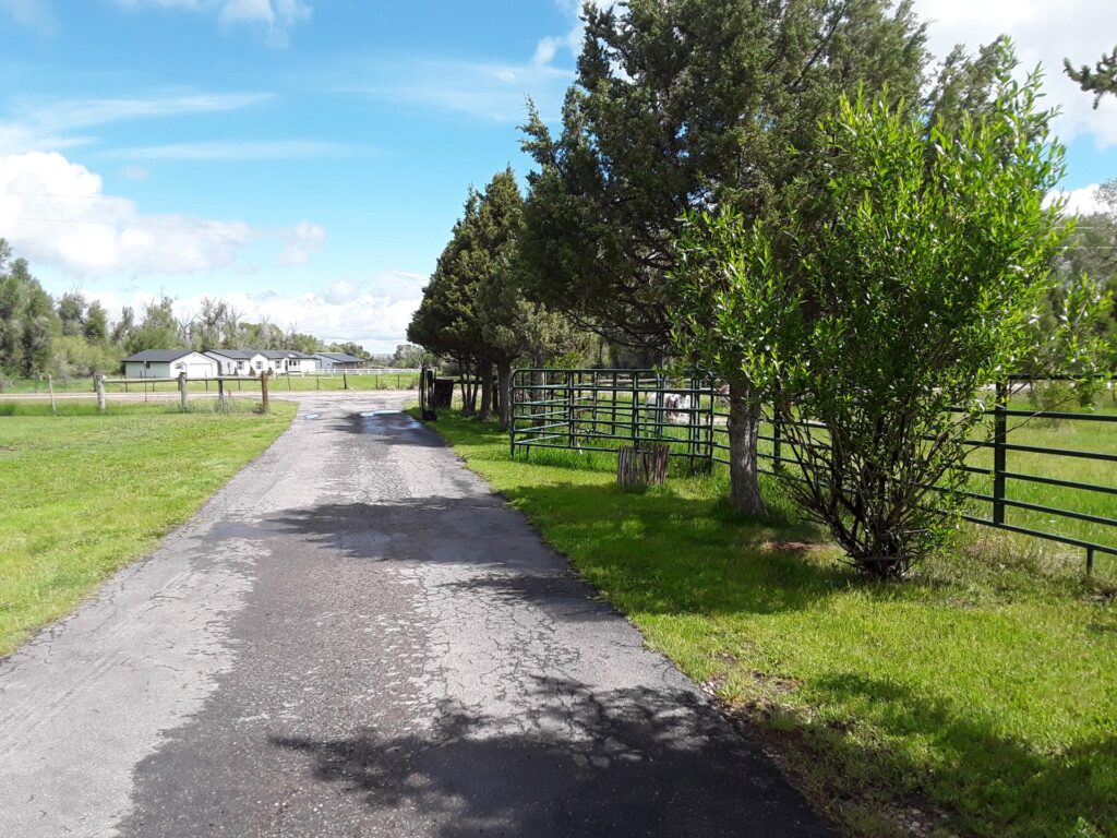 Sunlit gravel pathway bordered by greenery, leading towards a farm with buildings in the distance under a partly cloudy sky.