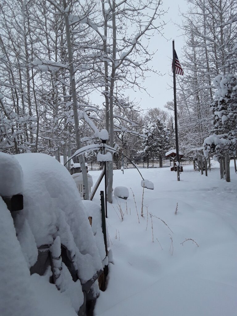 A snowy landscape features trees blanketed in snow, with an American flag visible in the distance. The scene conveys a serene winter setting.