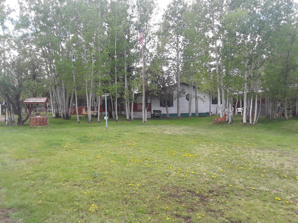 A quaint house surrounded by tall trees, featuring a small well and a wooden porch. Dandelions dot the grassy yard, adding a touch of nature.