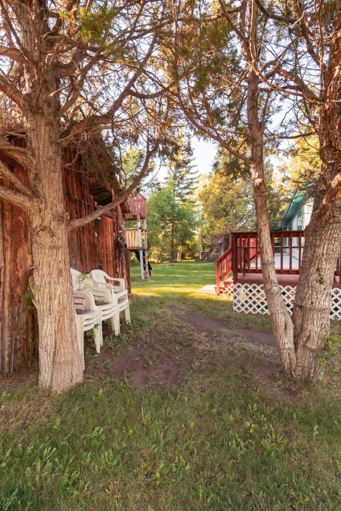 Pathway through trees leading to a grassy area with white chairs, surrounded by rustic wooden cabins and lush greenery.