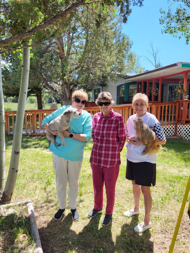 Three women stand together in a sunny yard, two holding small dogs. The background features a house with a wooden deck and greenery, suggesting a friendly gathering.